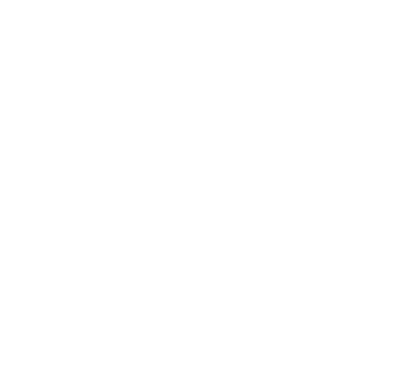 PPAI-100_2024 (White)
